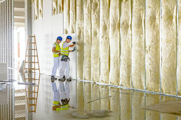 Best Insulation Installation Services in Sauk Rapids, MN